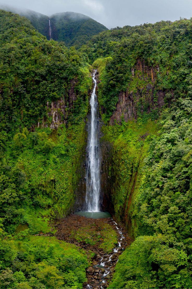La Soufrière, volcan de la Guadeloupe