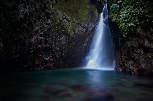 Cascades, rivières et forêt tropicale